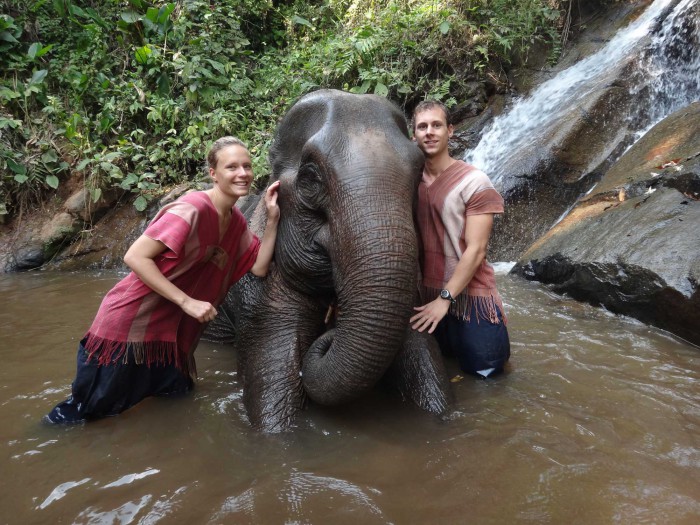 Elefanten Chiang Mai