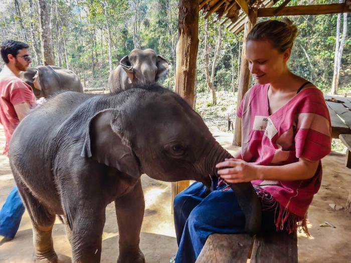 Baby Elefant