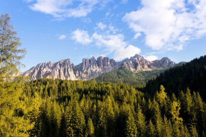 Latemar Dolomiten