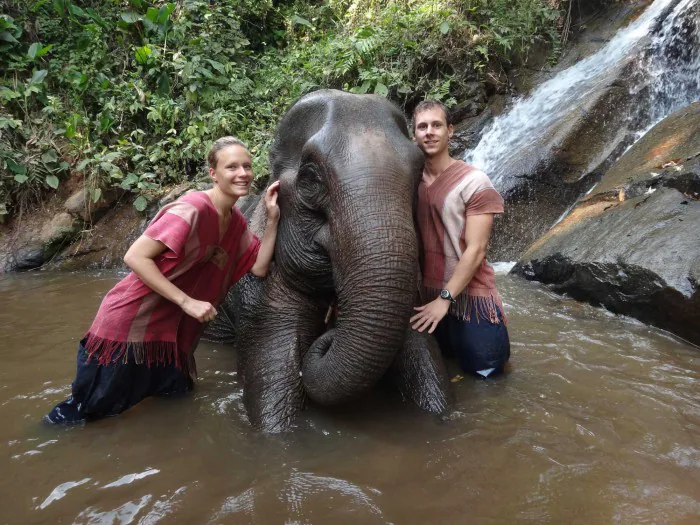 Elefanten Chiang Mai