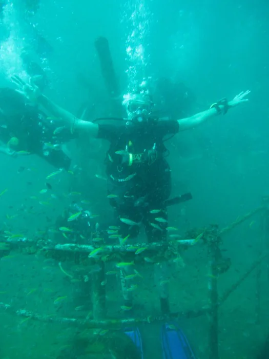 Wrack Ko Tao