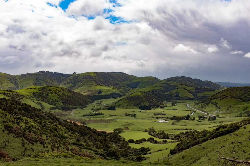 Grüne hügelige Landschaft