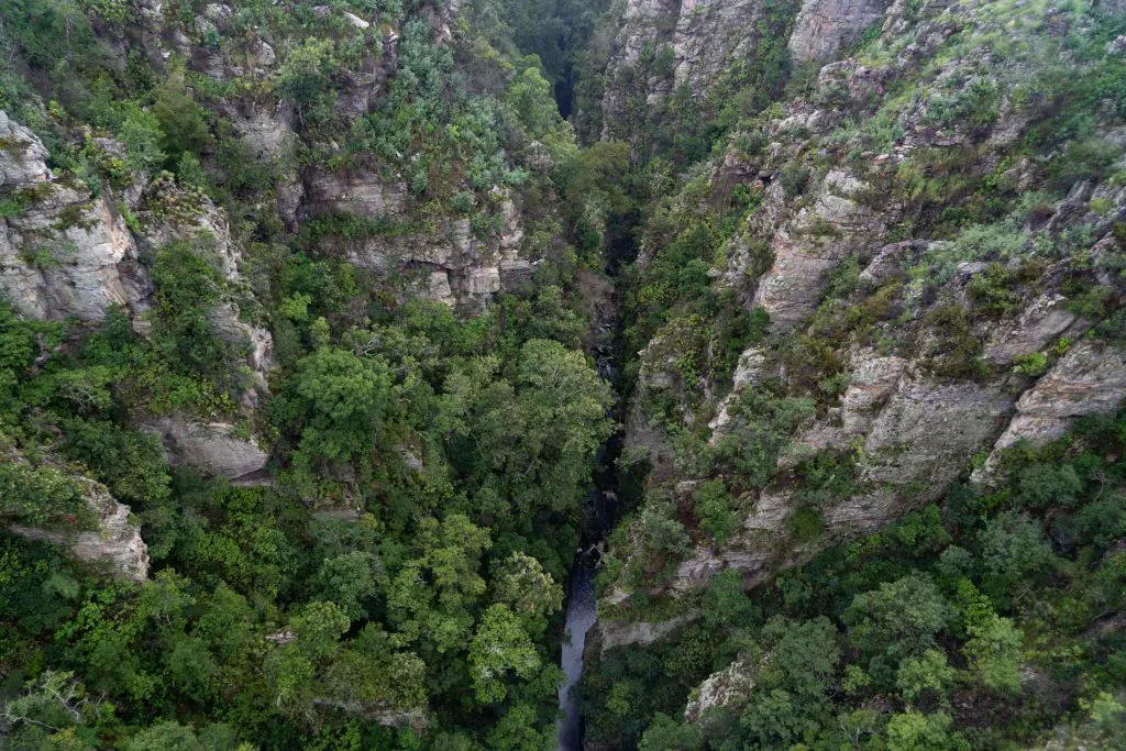 Tiefe Schlucht im Tsitsikamma NP